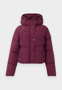 JDYWONDER HOOD PUFFER - Žieminė striukė - fig