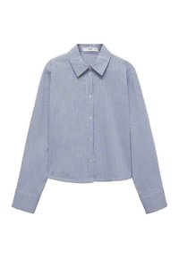 Blue and white striped long-sleeve shirt with a button-down front, a classic collar, and a cropped hem. Smooth cotton fabric.