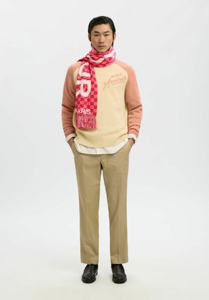 Uomo che indossa un maglione beige e rosa, sciarpa a quadri rossa con la scritta "Paris", pantaloni kaki e scarpe nere, in piedi con le mani nelle tasche.
