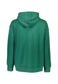 Grön hoodie med lång ärm och en avslappnad passform. Tyget verkar mjukt med en slät yta och ribbad nederkant.