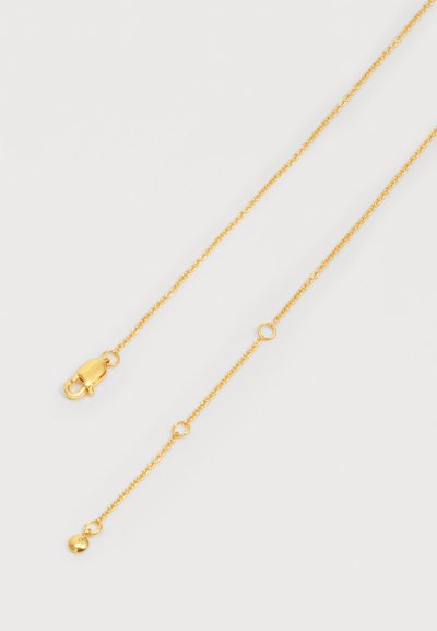 Λεπτό χρυσό κολιέ με αλυσίδα, κούμπωμα με καβούρι και μικρούς κυκλικούς κρίκους, φαίνεται σε λευκό φόντο.
