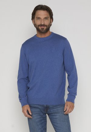 Mand med skæg iført en blå langærmet sweater og blå jeans, stående mod en ensartet lys baggrund.