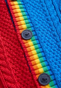 Knitted cardigan featuring red, blue, and a rainbow-striped trim, with a textured surface and a circular black button labeled "Little Bird."