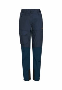 NBHOLLY W - Cargo hlače - navy blazer