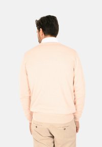 Maglione a maglia rosa chiaro con maniche lunghe e polsini a coste. La vista posteriore mostra una texture liscia e una vestibilità casual. Abbinato a pantaloni beige.
