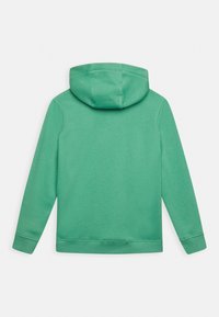 Zielona bluza z kapturem, z długimi rękawami i ściągaczami, pokazana z tyłu na białym tle.