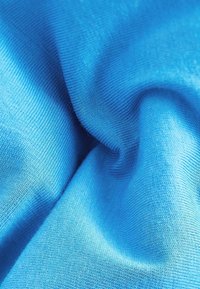 Next BLUEY-REGULAR FIT - Långärmad tröja - blue