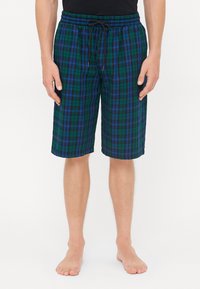 Shorts de bain à carreaux en bleu et vert avec une taille élastique, un cordon de serrage et une coupe décontractée. Tissu léger avec une texture douce.