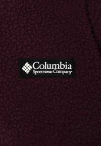 Columbia HELVETIA HALF SNAP UNISEX - Giacca in pile - moonvista/sati