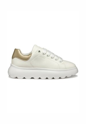 Baskets en cuir blanc avec des accents dorés brillants, bout rond, semelle plate blanche avec des sections arrondies, et six œillets pour les lacets.