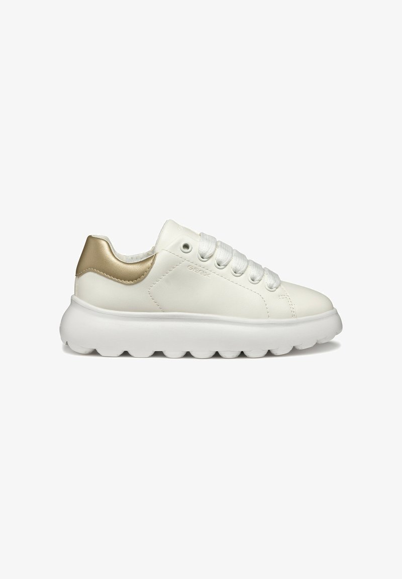 Sneaker bianche in pelle con eleganti dettagli dorati, punta rotonda, suola piatta bianca con sezioni arrotondate e sei occhielli per i lacci.