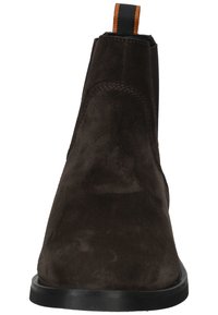 Scotch & Soda PICARO - Stiefelette - dark brown
