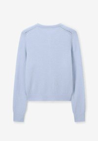 Pull en tricot à manches longues bleu clair avec des poignets et un ourlet côtelés, présentant des détails décoratifs discrets en œillets près des coutures des épaules.