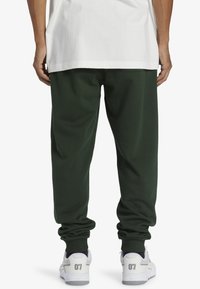 DC Shoes BASELINE - Verryttelyhousut - gzh mountain view