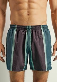 Pánské plavkové šortky v odstínech boa a tmavě šedé s vertikálními pruhy. Disponují elastickým pasem a nastavovací šňůrkou pro lepší přizpůsobení.