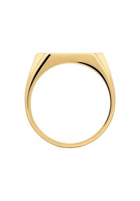 Zelta gredzens ar gludu, pulētu virsmu un plakanu, leņķainu augšu. Iezīmējas ar noapaļotu joslu, kas kontrastē ar ģeometrisko dizainu.