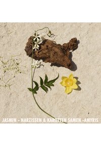 Jasminblomster med hvite kronblader og grønne blader på teksturert brunt tre mot en sandaktig bakgrunn, med en blomstrende gul blomst.