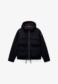 Unausgewählt, black beauty