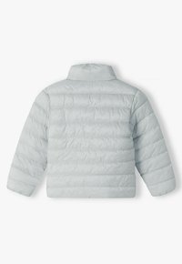 Non sélectionné, silver
