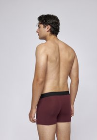 SNOCKS 6 PACK - Boxer Briefs - rot