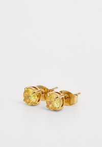 LIU JO EARRINGS ESSENTIAL - Orecchini - gold-coloured