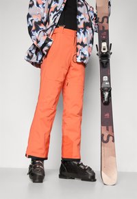 Columbia CIRQUE BOWL™ PANT - Pantaloni de schi - zing