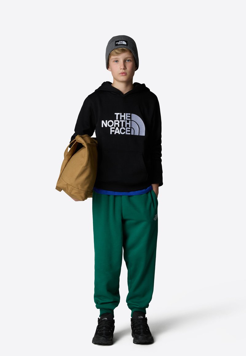 The North Face DREW PEAK HOODIE UNISEX - Sportinis megztinis - tnf black