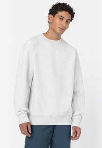 Dickies - SUMMERDALE - Sweater - light gray Miniatuurafbeelding 1