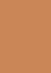 bronzed beige