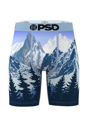 ALPINE CHILL - Trunks - blue