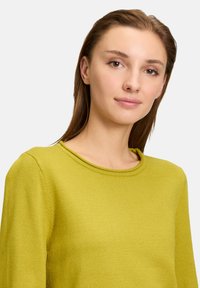 Maglione verde lime con scollatura tonda e maniche lunghe. Realizzato in tessuto morbido e texturizzato, presenta linee pulite e cuciture minime.