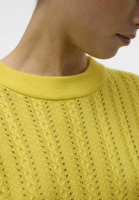 Geel gebreid sweater met een ribbelkraag, voorzien van ingewikkelde openwerkte patronen en textuurelementen langs de stof.