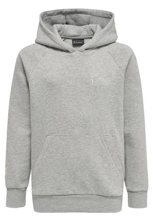 Hoodie - mottled grey