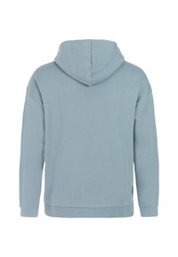Lichtblauwe katoenen hoodie met een ruime capuchon, lange mouwen en een rechte snit. Kenmerkend zijn de geribde manchetten en zoom, en een subtiele merketiket.