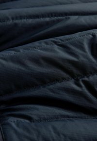 Next Jachetă de iarnă - navy blue