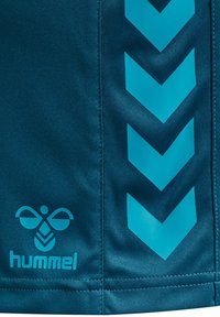 Teal sports shorts made of smooth fabric featuring chevron patterns in a lighter teal and a logo in the lower left corner.