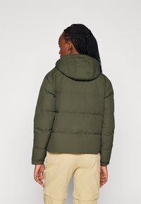 Patagonia DOWNDRIFT - Jakna ispunjena paperjem - pine needle green