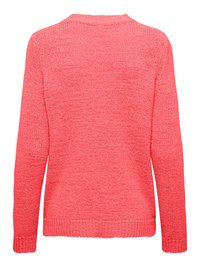 Coral knit sweater with long sleeves, textured pattern, round neck, and ribbed cuffs and hem. Back view shows smooth, even knit design.