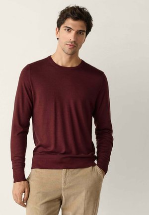 Ung mand med mørkt hår iført en vinrød langærmet sweater og beige manchesterbukser, står mod en ensartet lys baggrund.