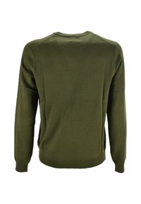 Donkergroen langemouwen crewneck trui, gezien van de achterkant, met een effen ontwerp en geribde manchetten en zoom.