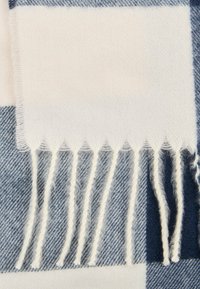 Blau-weiß kariertes Schal aus weichem Stoff, mit fransigen Kanten aus verdrehten weißen Fasern und einer glatten Textur.