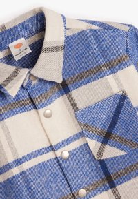Blauwe en witte geruite flanellen shirt met zilveren metalen knopen, voorzien van een spitse kraag en een borstzak. Zacht, gemêleerd stof.