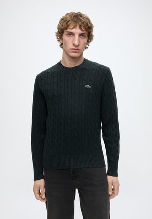 Junger Mann mit hellbraunen lockigen Haaren, der einen dunkelgrünen Zopfpullover und schwarze Hose vor einem schlichten weißen Hintergrund trägt.