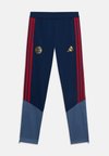 FC BAYERN TRAINING PANTS KIDS UNISEX - Joukkuetuote - night indigo/preloved ink