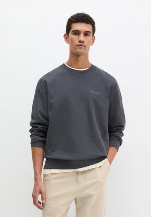 LONG SLEEVE NECKTRIMMING, ARTWORK ON BACK, BADGE ON CHEST - Felpa - grey morn