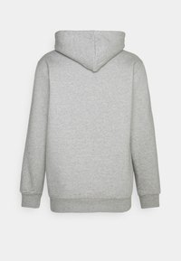 Sudadera con capucha de color gris claro vista desde atrás, con mangas largas y puños y dobladillo acanalados.