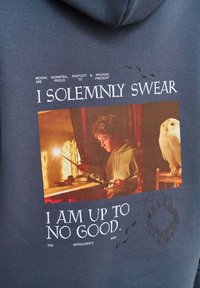 Harry Potter držící hůlku se zářícím hrotem vedle bílé sovy, orámovaný červeným závojem, s textem odkazujícím na Vztekleckou mapu.