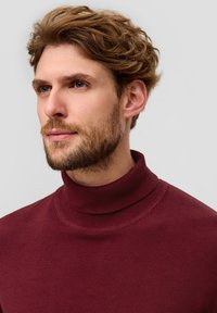s.Oliver À COL ROULÉ - Strickpullover - bordeaux