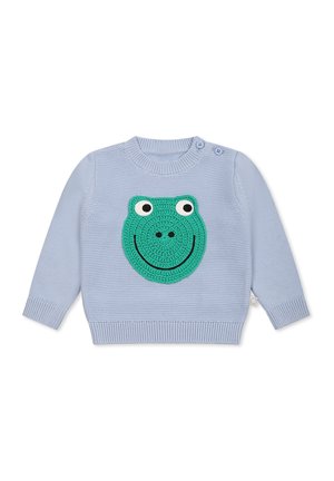 Jasnoniebieski sweter z dzianiny z dużym wzorem zielonej żaby z białymi oczami i uśmiechniętą buzią. Posiada ściągacze przy mankietach i okrągły dekolt.