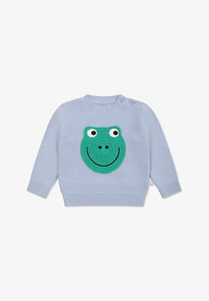 Pull en tricot bleu clair avec un grand motif de visage de grenouille verte, des yeux blancs et une bouche souriante. Il a des poignets côtelés et un col ras du cou.
